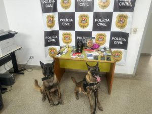 Operação da Polícia Civil resulta na prisão de 5 homens e apreensão de drogas e dinheiro