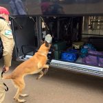 Forças de segurança apreendem quase 150 toneladas de drogas em 2025