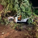 Chuva intensa provoca queda de árvores e mobiliza equipes da Defesa Civil de Taquarituba em diversos bairros