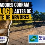 Moradores cobram diálogo antes de corte de árvores em Fartura